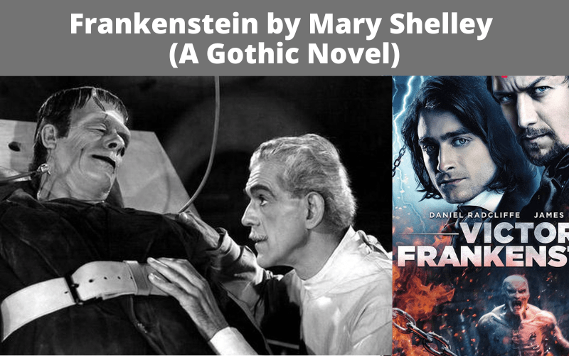 Frankenstein by Mary Shelley as a Gothic Novel