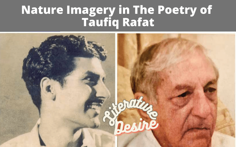 Nature Imagery in The Poetry of Taufiq Rafat