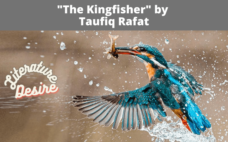 The Kingfisher" by Taufiq Rafat